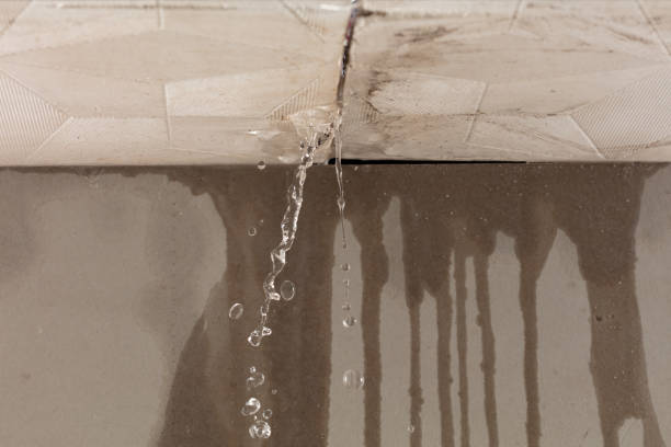 Professional Structural Drying technician working in Browns Mills, NJ
